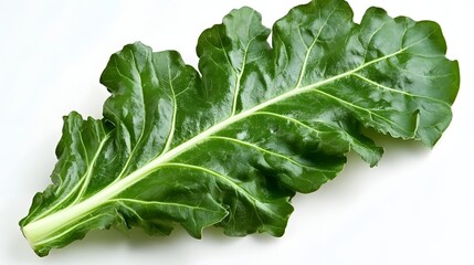 Close-up image of a vibrant green leaf.