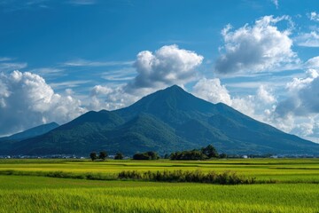 Lush green rice paddies stretch to a verdant mountain under a vibrant blue sky