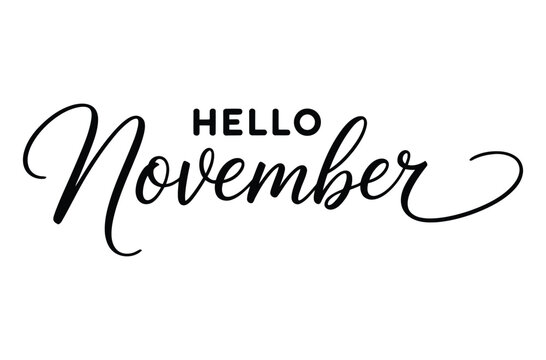 Hello November typography, elegant hand lettered quote for welcome month design.

