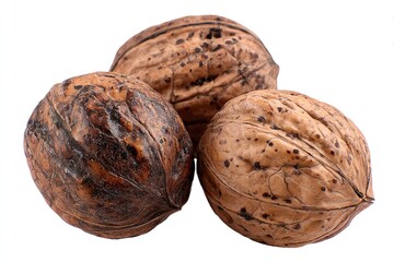 Three walnuts in shell, isolated on white