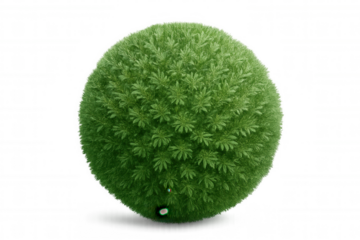 Lush green grass forming a perfect sphere, rotating gently against a transparent background, creating a surreal and organic image