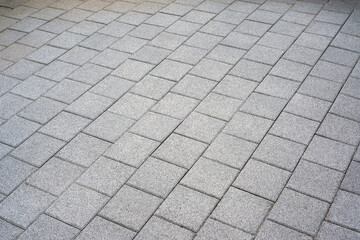 Gray Stone Paver Pathway Texture