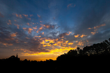 sunset over the forest