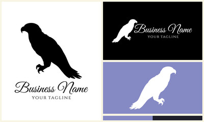 Bird Logo Design Variations.