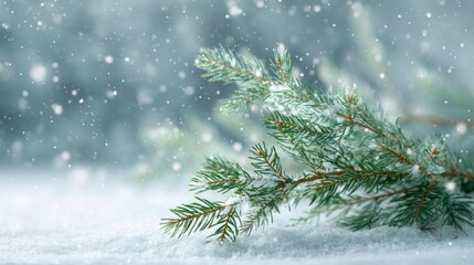 A snow-dusted evergreen branch rests gently on a pristine, snow-covered surface, with softly falling snowflakes creating a serene winter scene against a blurred background