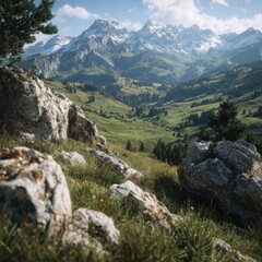 Obraz premium Alpine valley vista with rocky foreground