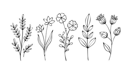 Delicate floral outlines with leaf accents doodle simple