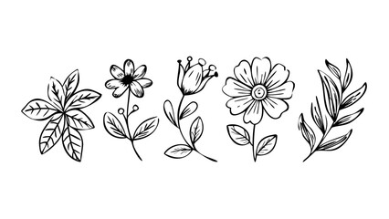 Delicate floral outlines with swirling leaves doodle hand drawn
