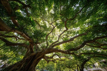Majestic tree with sprawling branches and lush green leaves in a vibrant forest setting