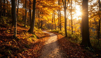 Obraz premium Serene Autumn Forest Path at Sunrise
