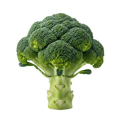 Fresh Broccoli Stands Out Against Black Backdrop, Showcasing Healthy Food Choice