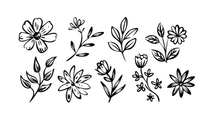 Hand Drawn Ink Floral Elements flowers leaves