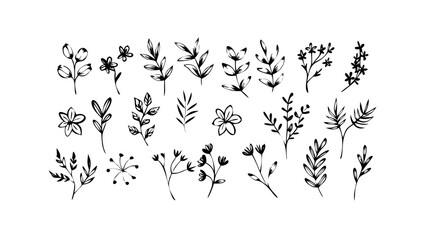 Rough Ink Brush Flower Elements floral botanical