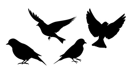Two sparrows in flight on transparent background birds flying