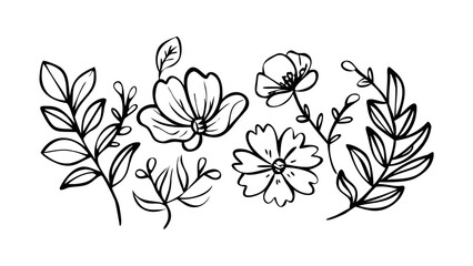Whimsical floral and leaf doodle elements leaves cartoon