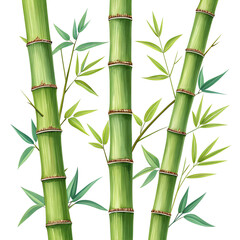 Fototapeta premium three vertical stalks of vibrant green bamboo, complete with leaves. The background is a soft, solid gray. The stalks are detailed with visible nodes and are slightly curved, adding a sense of natural