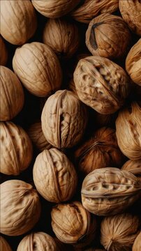 High quality nutmeg whole nuts, a popular holiday seasonal gourmet food.