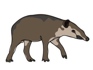 A tapir in a continuous line pattern on a white background.