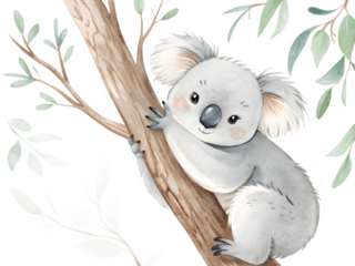 Adorable watercolor koala clinging to a eucalyptus tree branch at night