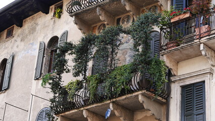 Obraz premium Italia 2025 88