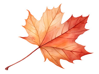 Obraz premium Watercolor painting of a single vibrant orange maple leaf on a black background