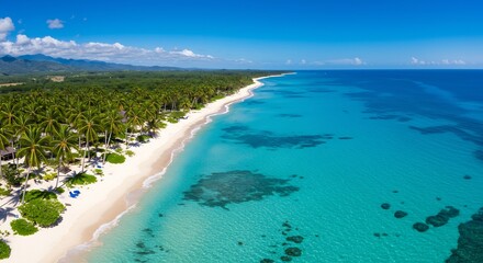 Obraz premium An aerial view of a tropical coastline with palm trees white sand beach and turquoise water