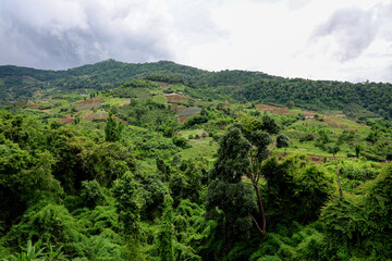 Lush Green Hills of Tropical Landscape with Overcast Sky and Distant Mountain Range