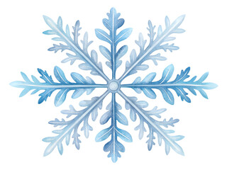 Intricate blue snowflake with delicate icy branches on a black background