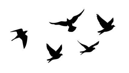 Birds in flight and perched flying silhouette