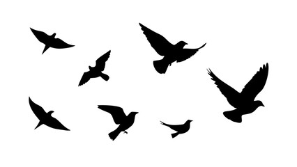 Obraz premium Flock of birds in flight and perched flying silhouette