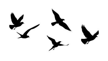 Flock of birds in flight and perched flying silhouette