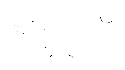 Watercolor Inspired Hand Drawn of a Hummingbird nature