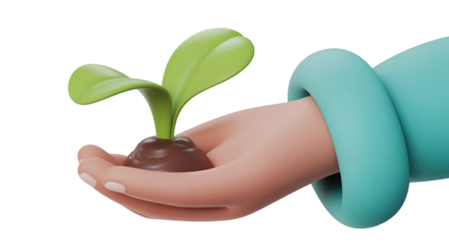Hand holding a seedling, symbolizing growth and new beginnings