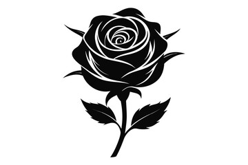 Black rose vector illustration isolated on white background with petals and leaves