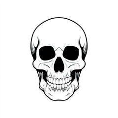 Fototapeta premium Human skull illustration with detailed teeth and eye sockets