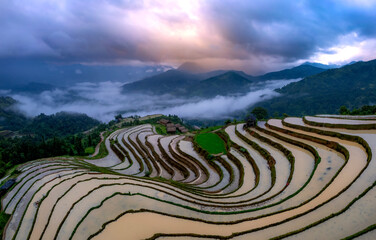 Rice terrace in Ha Giang, Vietnam