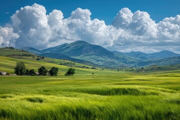 Fototapeta premium Lush green fields meet rolling hills under a vibrant blue sky