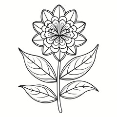  vector illustration of line art wax plant fish tail hoya flower  on white background
