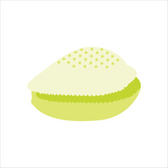 Cowry shells illustration