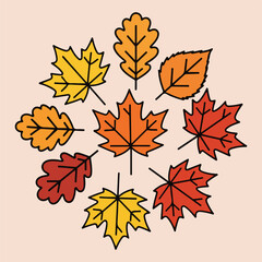 Vector Illustrations of Different Autumn Leaves