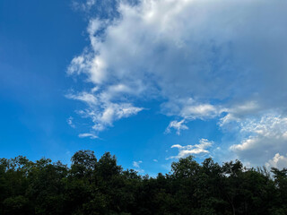 A vibrant blue sky with fluffy white clouds stretches above a dense line of dark green trees.