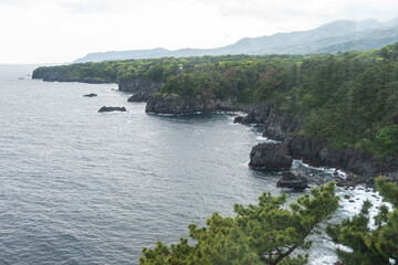 Fototapeta premium Jogasaki Coast at Ito Shizuoka Japan, Rocky coastline with dense forest and ocean waves under cloudy sky