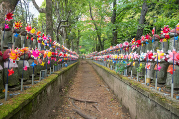 Colorful pinwheels lining pathway in peaceful outdoor garden setting at Tokyo, Japan
