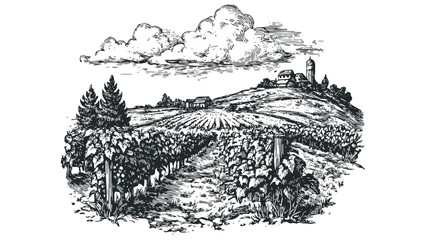 Vineyard landscape with farmhouse and silo under a cloudy sky. Vector hand drawn illustration