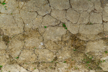 Cracked dry soil with visible fissures and small patches of green grass, effect of drought on the ground.