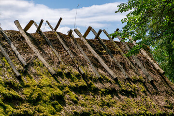 Thatched roof covered with moss, reinforced with wooden poles, visible fragment of traditional rural architecture.