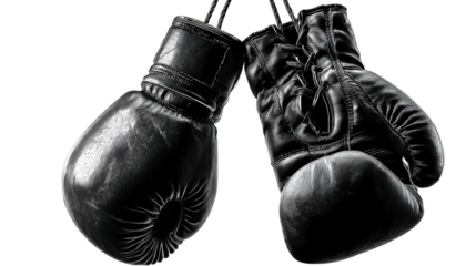 Pair of Black Leather Boxing Gloves Hanging Isolated on White Background, cut out transparent