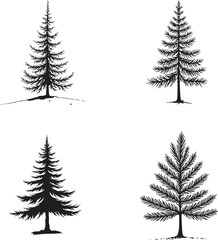 Obraz premium pine tree silhouette illustration – evergreen and forest nature vector