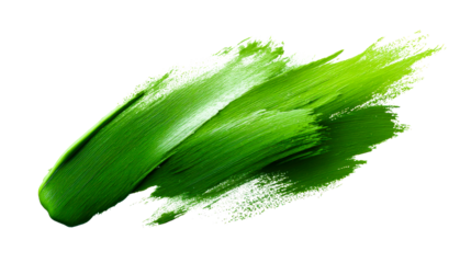 Thick green paint stroke with textured brush marks isolated on white, cut out transparent