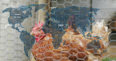 Brown hen standing behind hexagonal mesh fencing in chicken coop, with digital world map overlay